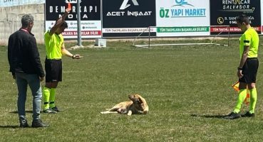 Amatör maçta hakem sahaya giren köpeği kırmızı kart gösterip dışarı çıkardı