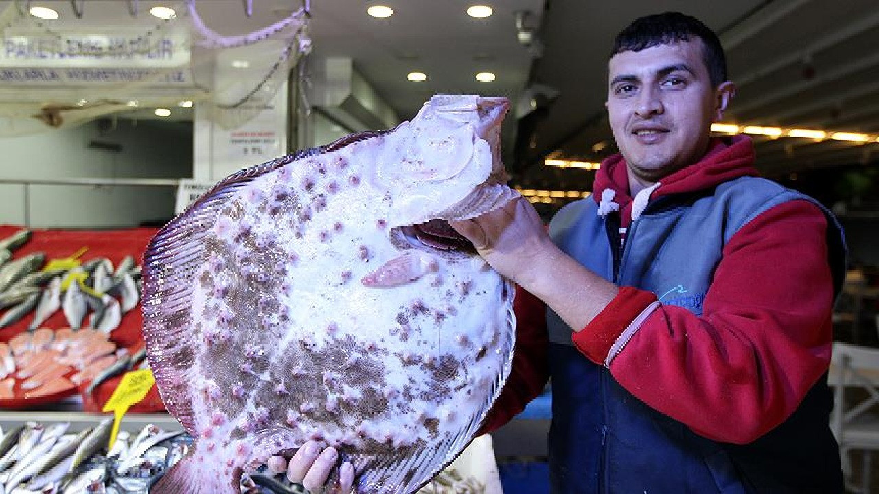 balik-tezgahlarinda-kalkan-bollugu-kilosu-800-liradan-satiliyor-CyYuMvHt.jpg