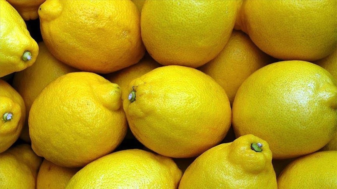 Son Dakika: Ticaret Bakanlığı duyurdu: Limon ihracatı durduruldu