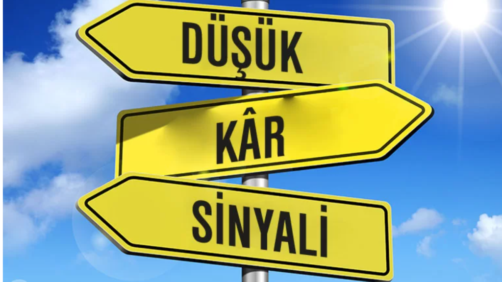 gcm-yatirim-2c25-beklentileri-sektorlerde-ayrisma-sirketlerde-secicilik-zamani-xwSdnPMd.png