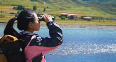 Ahlatcı Yatırım’dan 4. Çeyrek Kâr Görünümü: Bankalarda Toparlanma, Sanayide Oynaklık